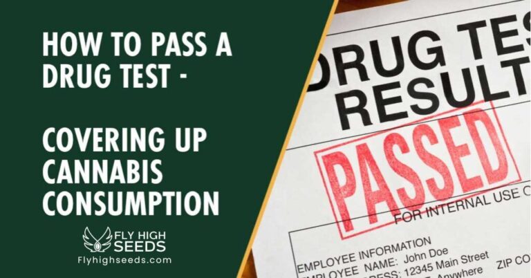 fly high seeds how to pass a drug test