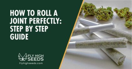 fly high seeds how to roll a joint