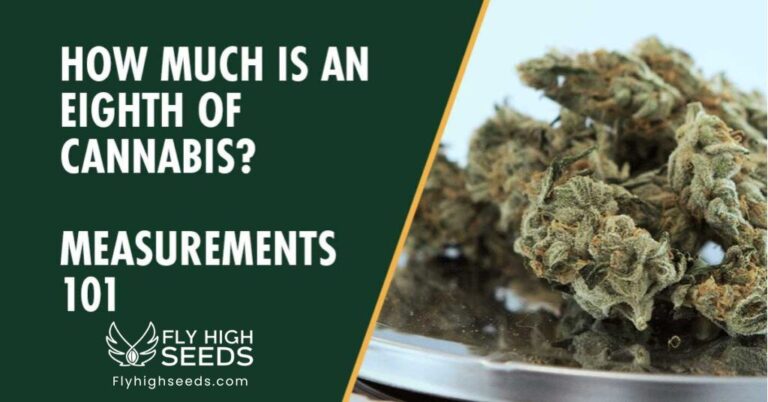 fly high seeds what is an-eighth of cannabis