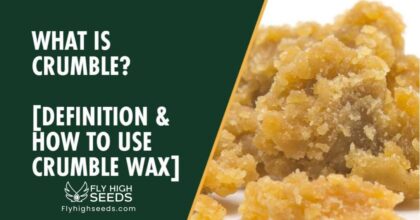 fly high seeds what-is crumble