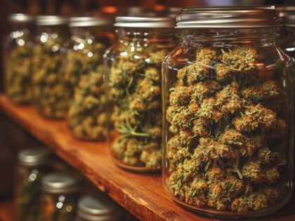 Glass jars of cured cannabis buds on a shelf, showing proper storage and quality benefits, illustrating how to cure weed for better flavor, potency, and shelf life.